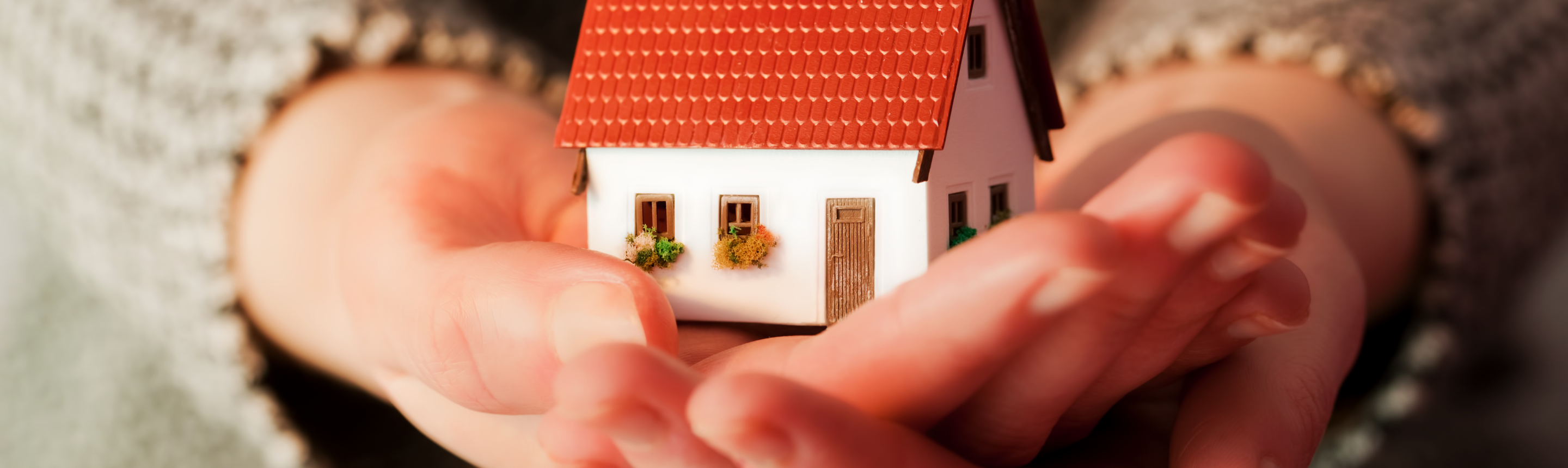 hands holding a model home